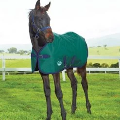 Weatherbeeta 1200D Standard Neck Foal Blanket - Hunter/Navy
