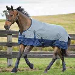 Saxon 600D With Gussets Standard Neck Lite Turnout Sheet - Grey/Navy