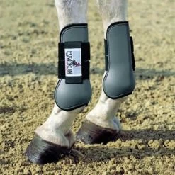 Protection Tendon Boot - Horse