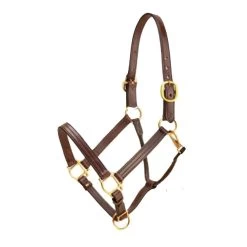 Triple Stitched Track Halter With Adjustable Nose - Havana