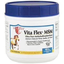 MSM Joint Supplement - 1 Lb - 1LB