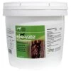 Elevate® Maintenance Powder - 10 Lbs - 10LB