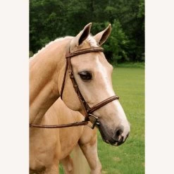 Imperial Bridle With Raised Fancy Laced Reins - Brown