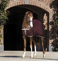 Amigo® Net Cooler (No Fill) - Fig/Navy