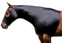 Stretch Solid Hood With Zipper - Small - Black