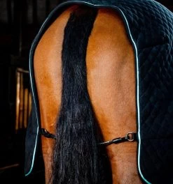 Autumn Cooler -Equestrian Supplies ACHFL2 F