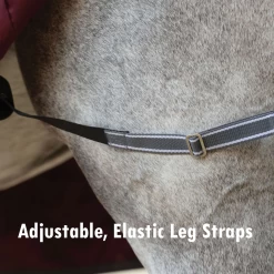 Weatherbeeta ComfiTec Plus Dynamic II Detach-A-Neck Lite- Maroon, Grey And White -Equestrian Supplies AELS1