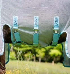 Amigo® AmECO Bug Buster Sheet - Silver And Skyblue -Equestrian Supplies AFRRK0 D