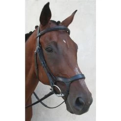 Innovativo English Bridle - Horse -Equestrian Supplies INNOVATIVO 4T