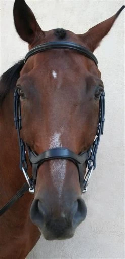 Innovativo English Bridle - Horse -Equestrian Supplies INNOVATIVO 5T