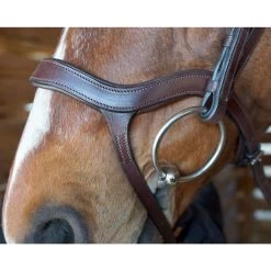 Innovativo English Bridle - Horse -Equestrian Supplies INNOVATIVO 6T