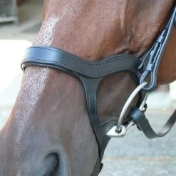 Innovativo English Bridle - Horse -Equestrian Supplies INNOVATIVO 7T
