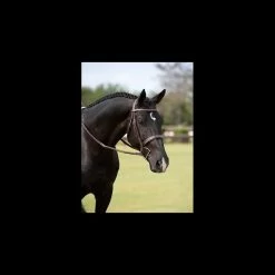 Wide Nose Hunter Bridle - Brown -Equestrian Supplies bus180 alt3