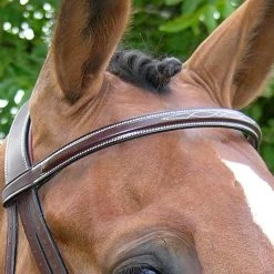 Wide Nose Hunter Bridle - Brown -Equestrian Supplies bus180 top