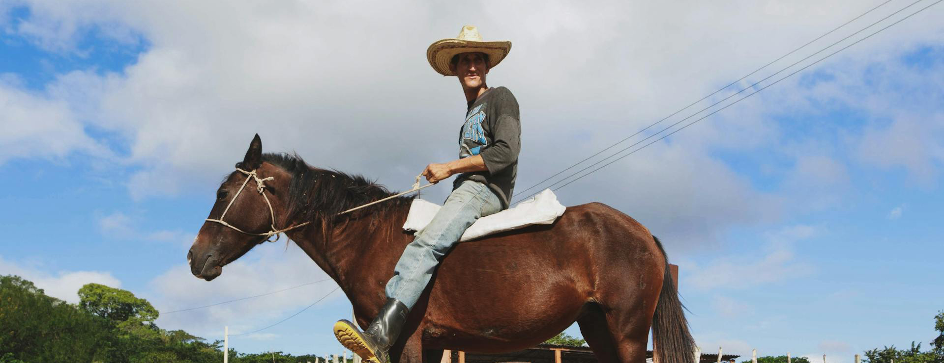 Front Page -Equestrian Supplies pexels tkirkgoz 11522069